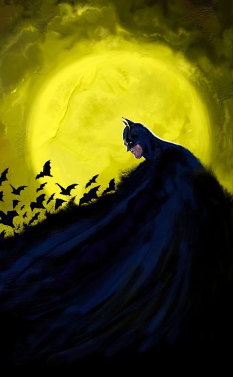 Batman Cape Bats Wallpaper 340x550
