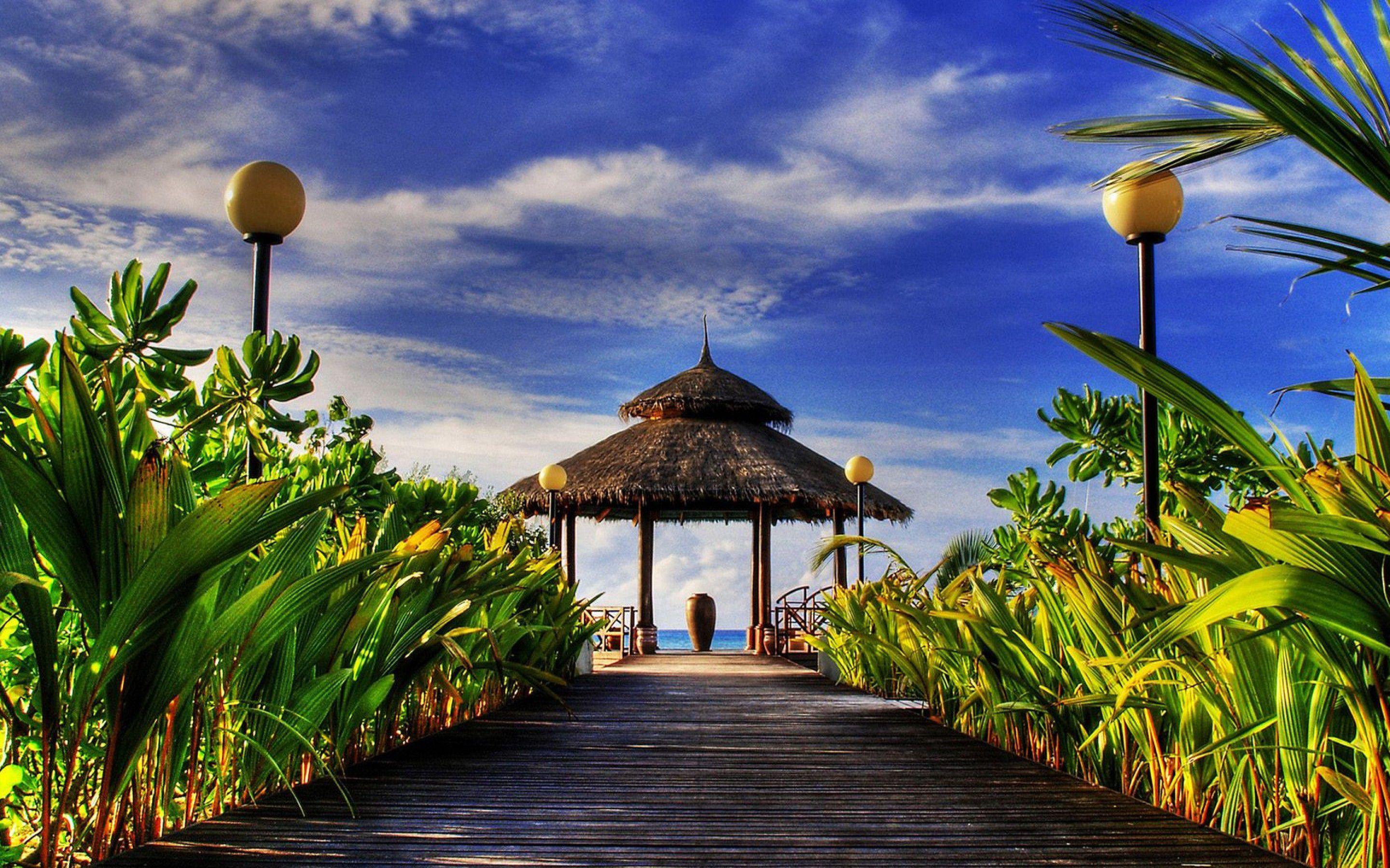 Paradise. Бали остров. Доминикана. Райская природа. С тропический рай.