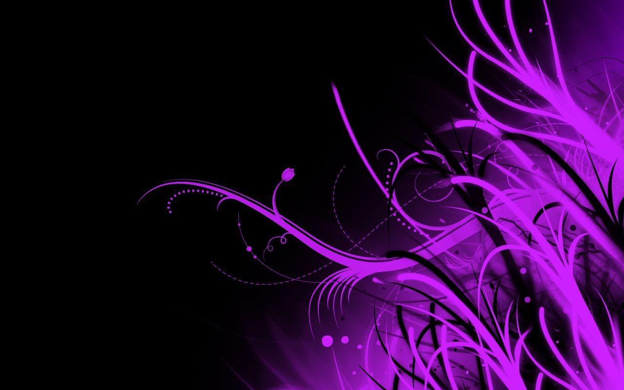 Black Purple Wallpaper 27 1280x800