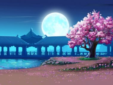 Cherry Blossom Tree Wallpapers HD