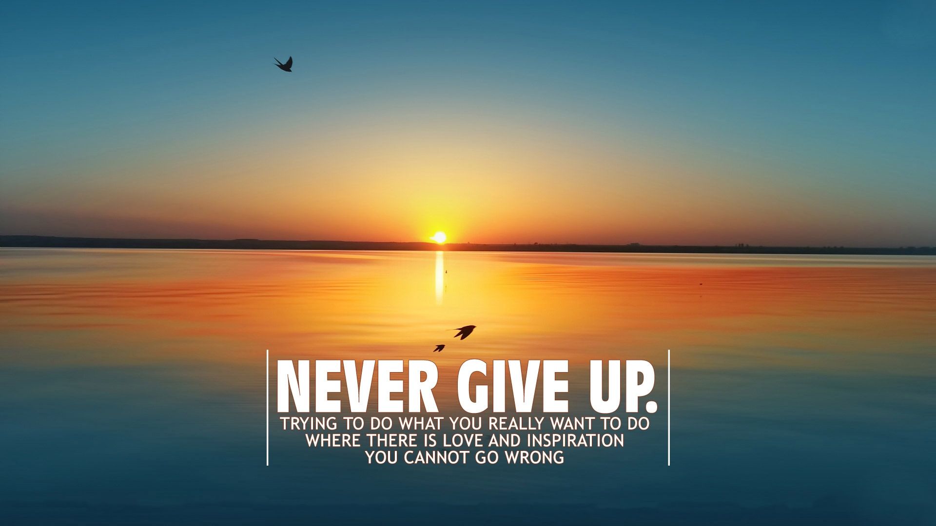 Don't Give Up Wallpapers HD