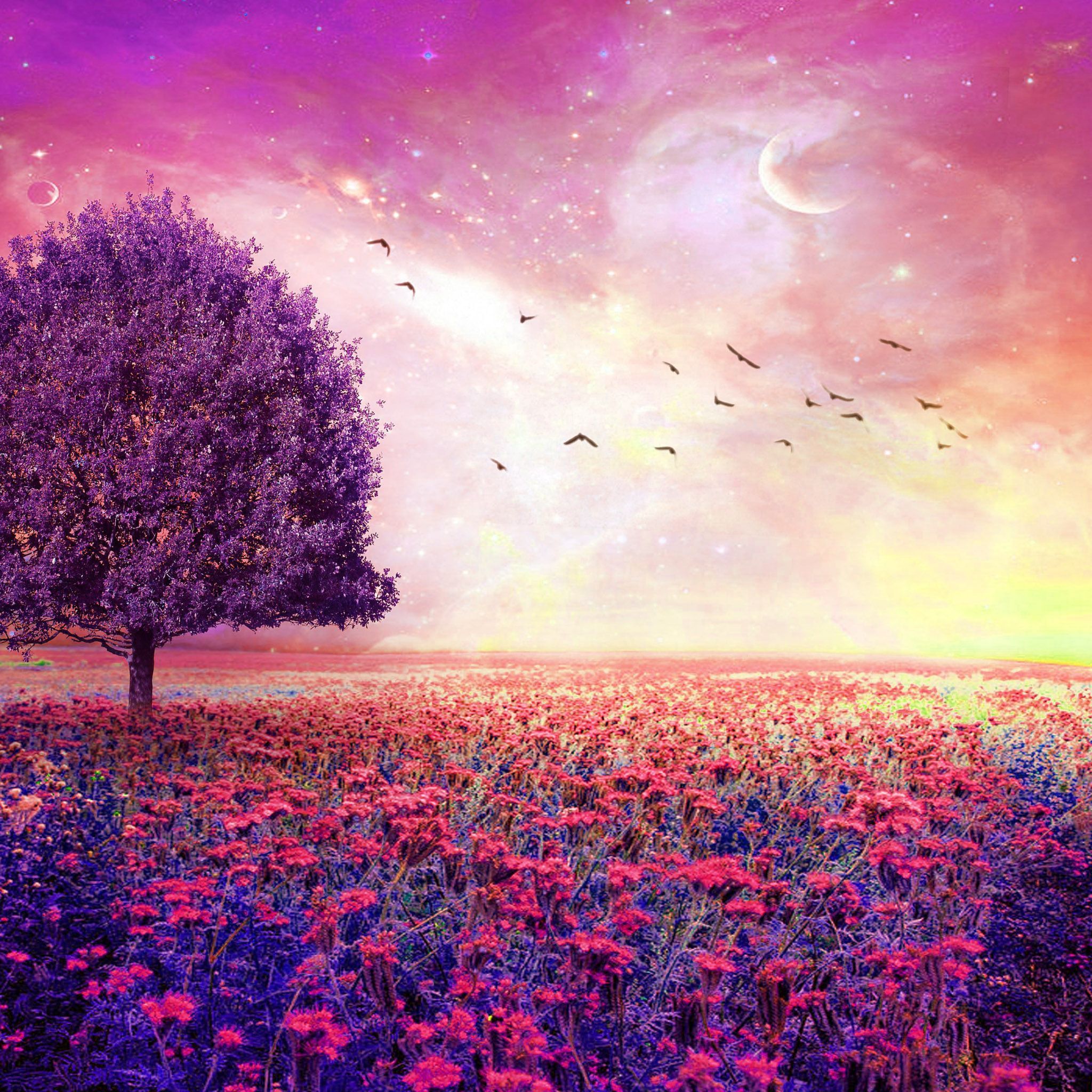 Dreamy 4K wallpapers for your desktop or mobile screen free and easy to  download