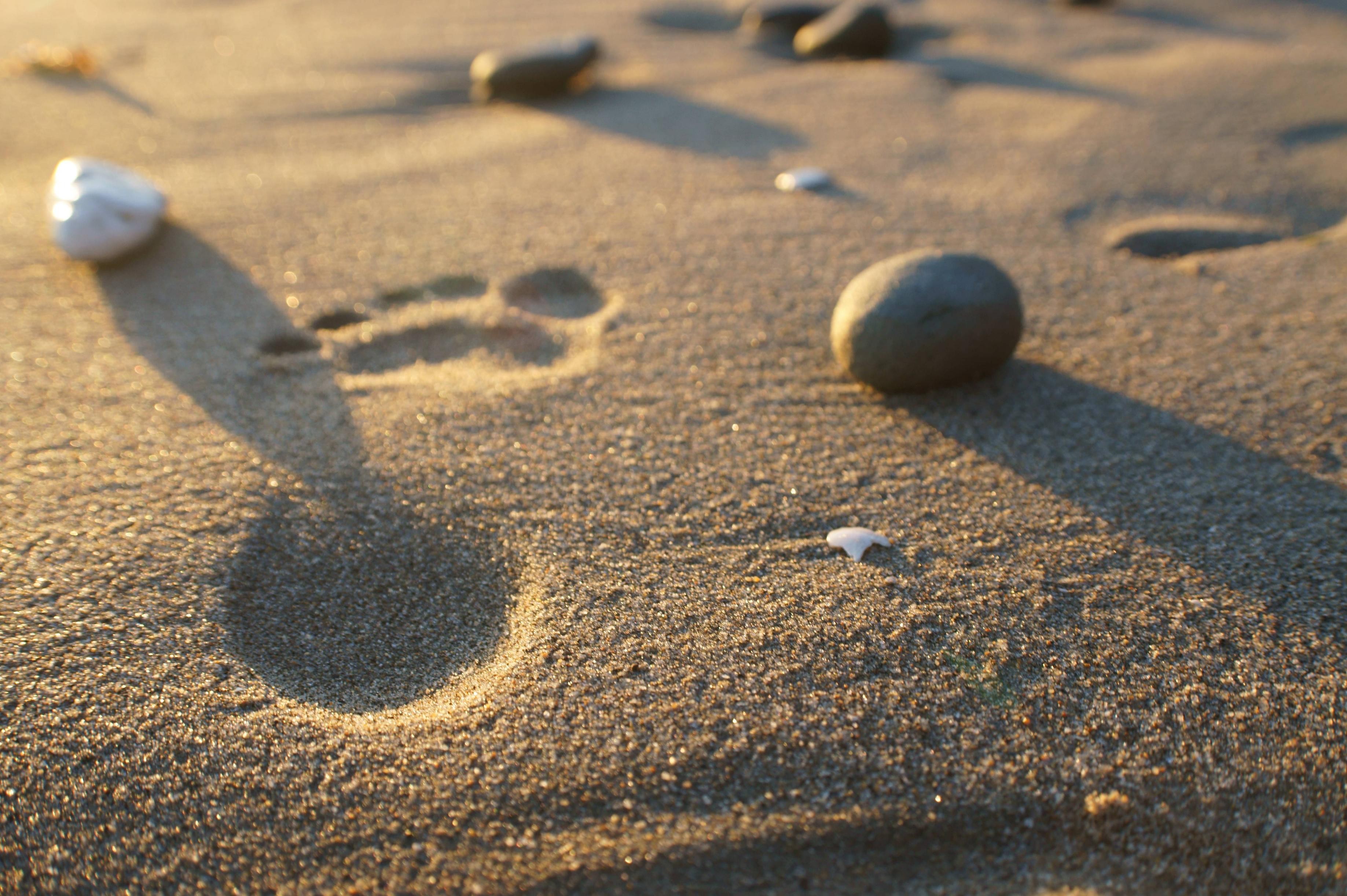 Footprint Wallpaper 22 - [3674x2445]
