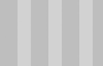 Gray Striped Wallpaper 03 700x1050 340x220