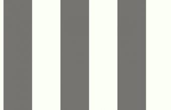 Gray Striped Wallpaper 04 650x650 340x220