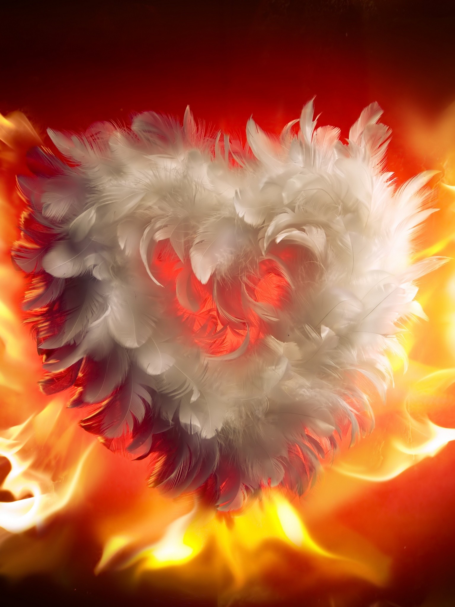 Heart On Fire Images - Free Download on Freepik