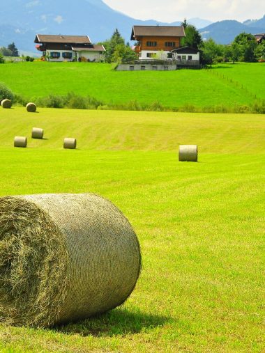 Austria Field Hay House Landscape Wallpaper 1536x2048 380x507