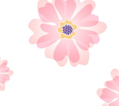 Huawei P10 Plus Limited Edition Wallpapers 3 2880x2560 380x338
