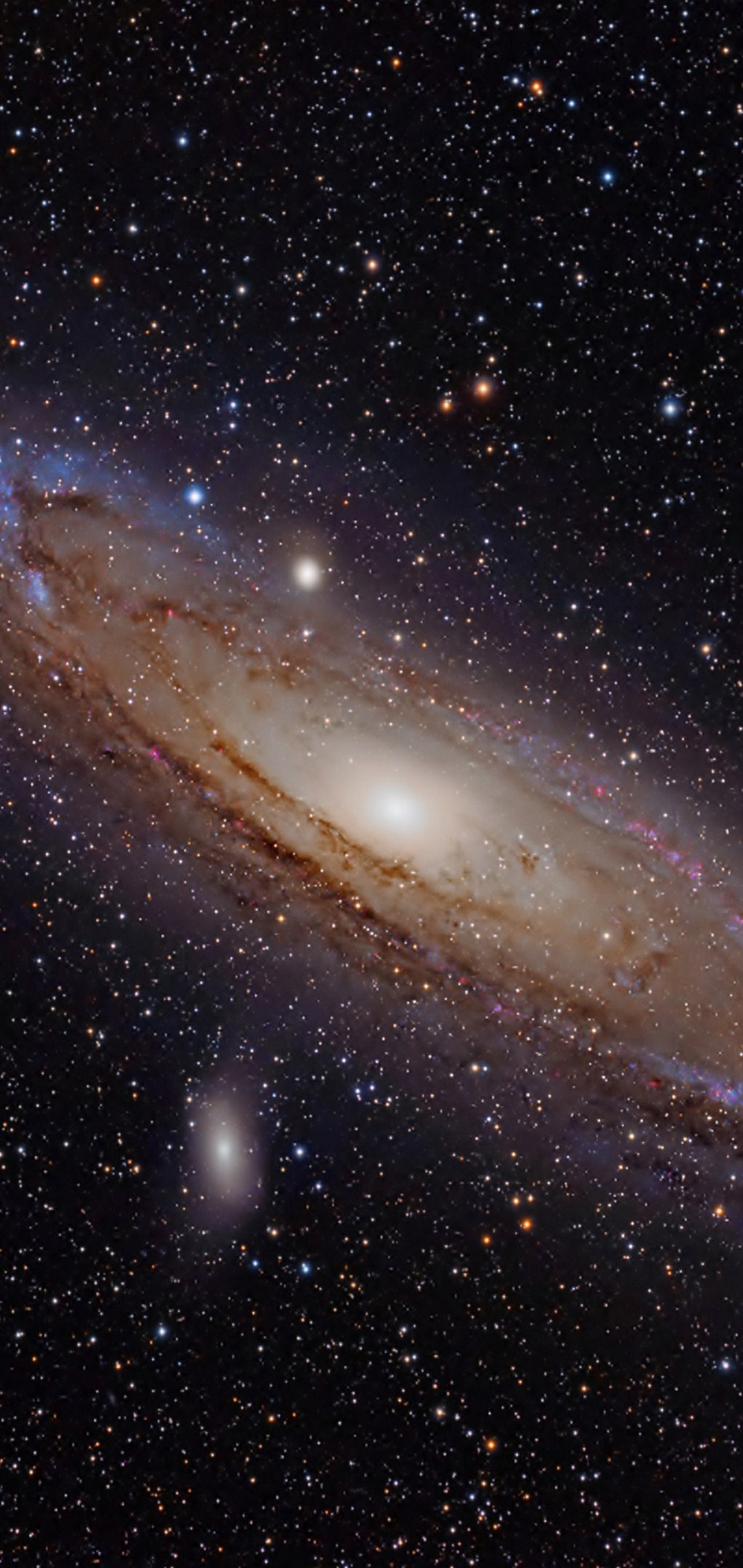 Andromeda Galaxy Wallpaper