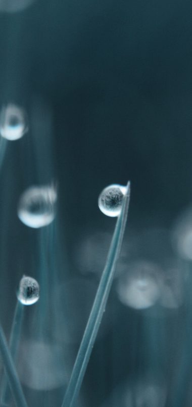 Bokeh Water Drops Grass Wallpaper Wallpaper 1080x2280 380x802