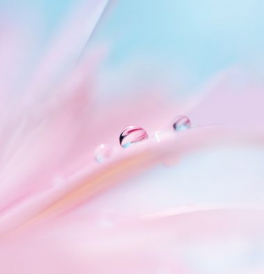 Huawei P20 Pro Stock Wallpaper 19 2160x2240 380x394