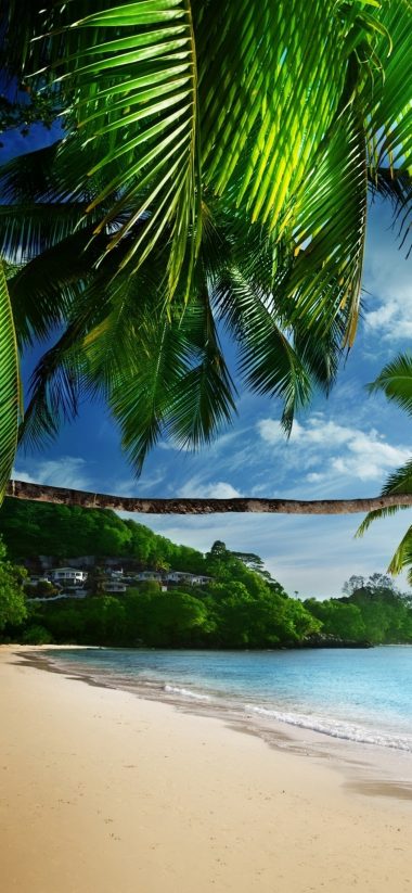 Tropical Beach HD Wallpaper 1125x2436 380x823