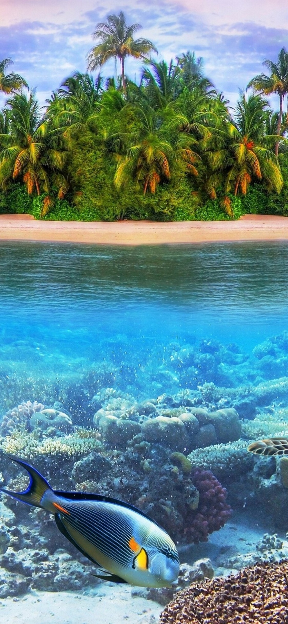Lexica  An iphone wallpaper underwater in the ocean