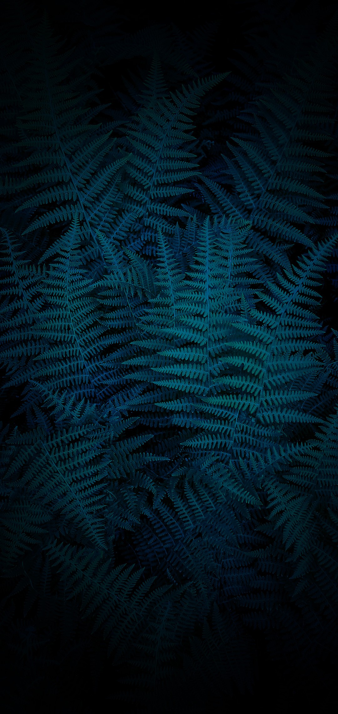 Vivo V9 Stock Wallpaper 05 - [1080x2280]