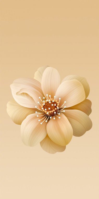 Download 3000+ Wallpaper Bunga Xiaomi HD Paling Baru Download 3000+ Wallpaper Bunga Xiaomi HD Paling Baru