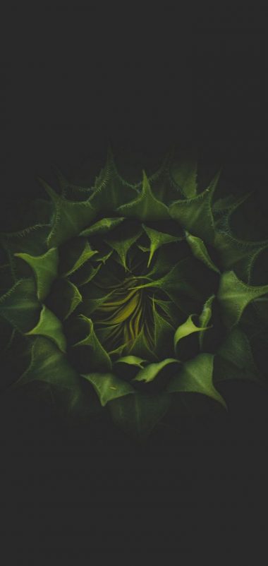 vivo Y91 Wallpapers HD