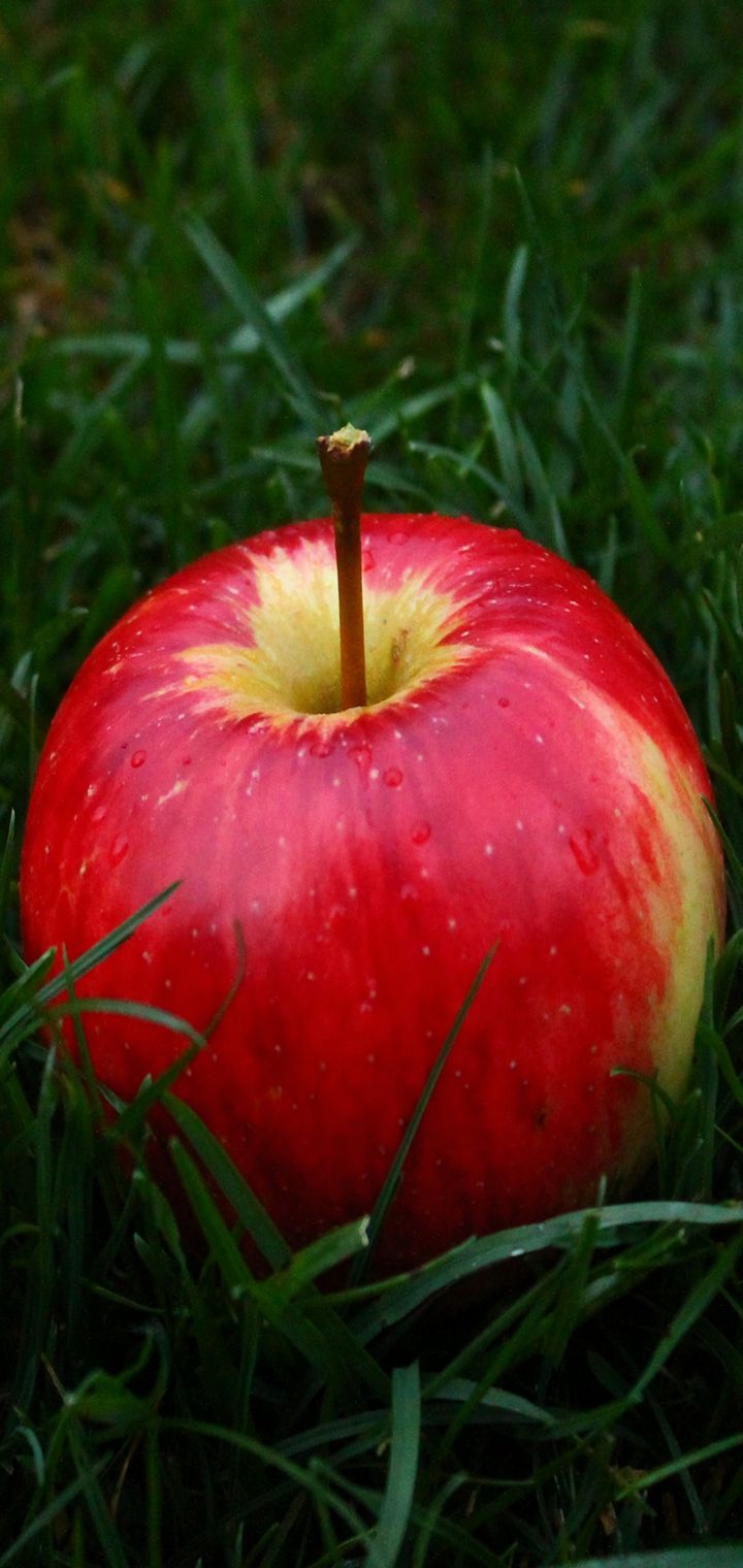 Apple Fruit Grass Wallpaper - [720x1520]