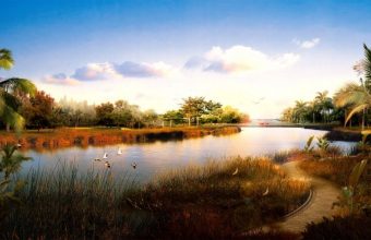 Beautiful Lake Surrounded By Trees Wallpaper 800x480 340x220