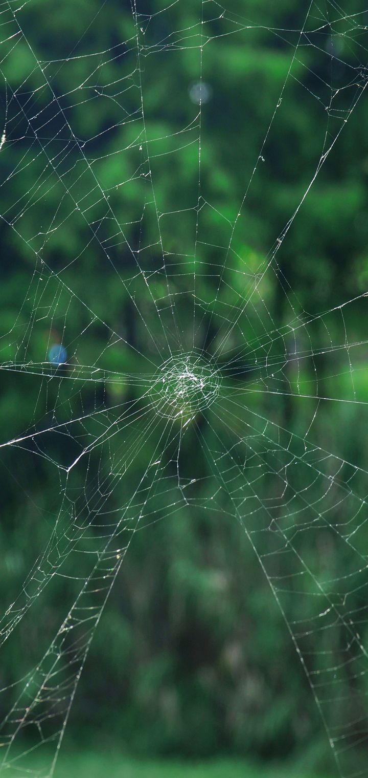 Top 1001 hình nền iphone đẹp nhất  wallpaper cho điện thoại phone 11 x  xs max 7 8  VFOVN
