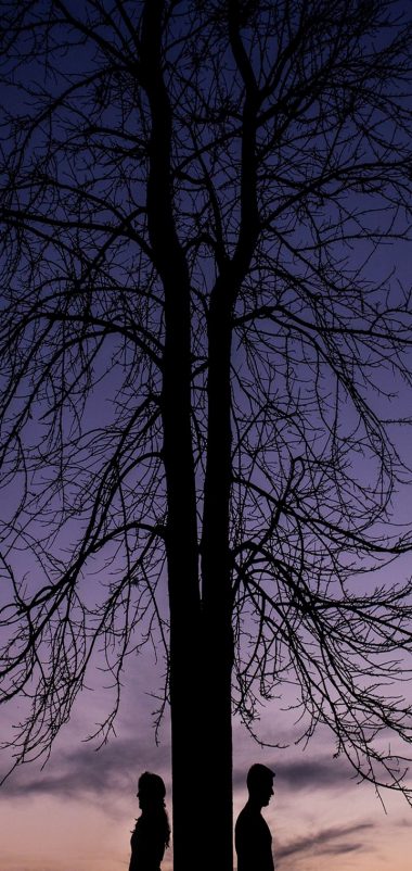Couple Silhouettes Tree Wallpaper 720x1520 380x802