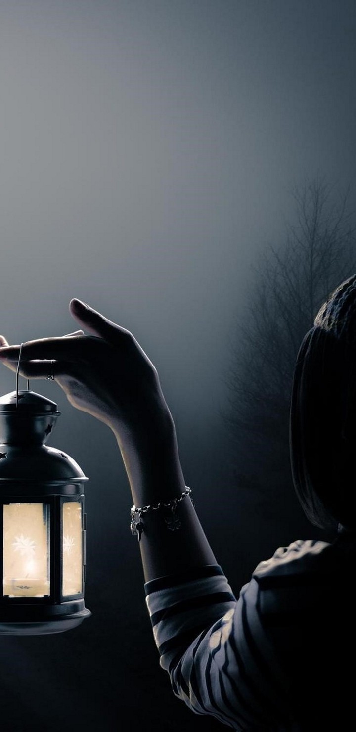 Girl With Lantern Art Wallpaper [720x1480]