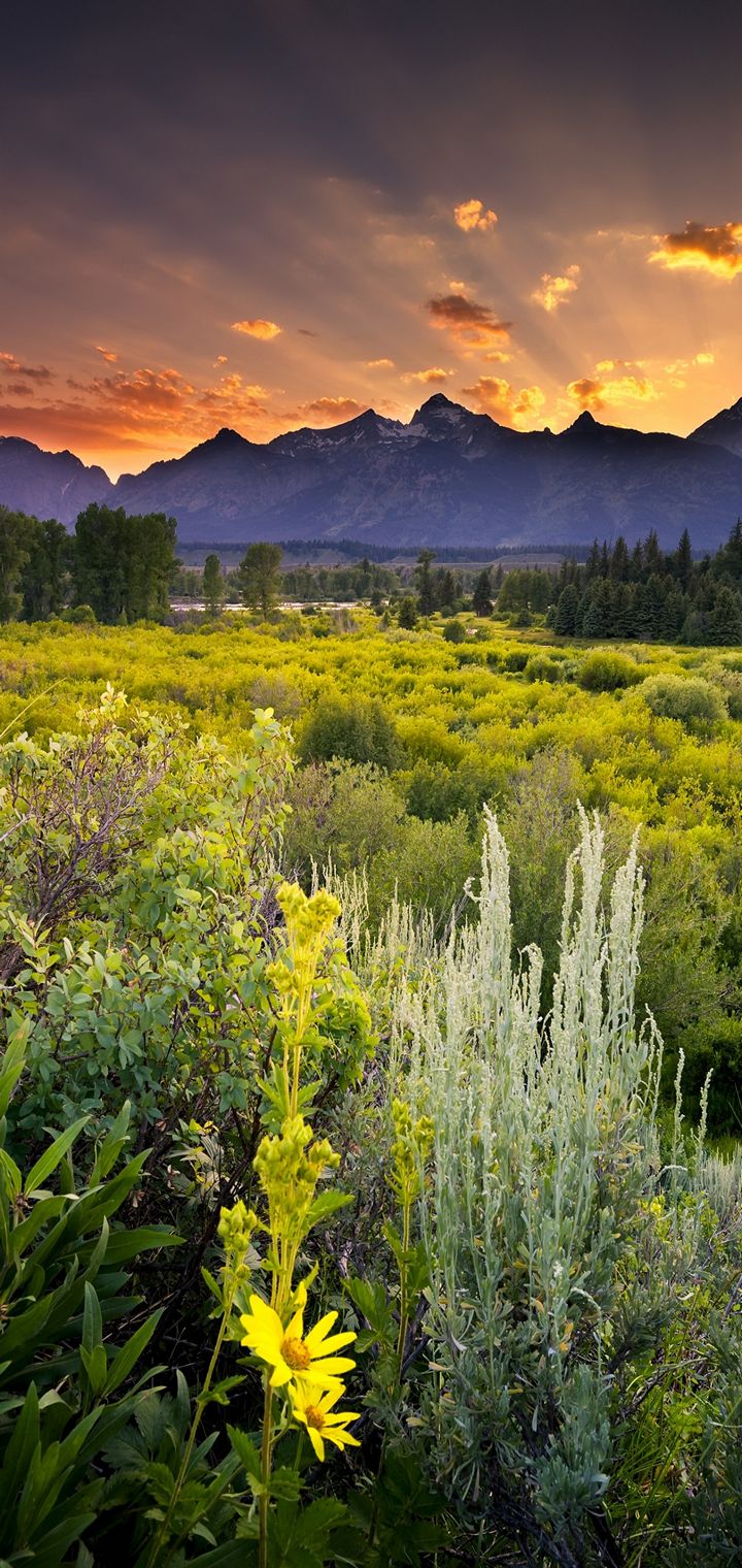 Grand Teton National Park Sunset Clouds Wallpaper - [720x1520]