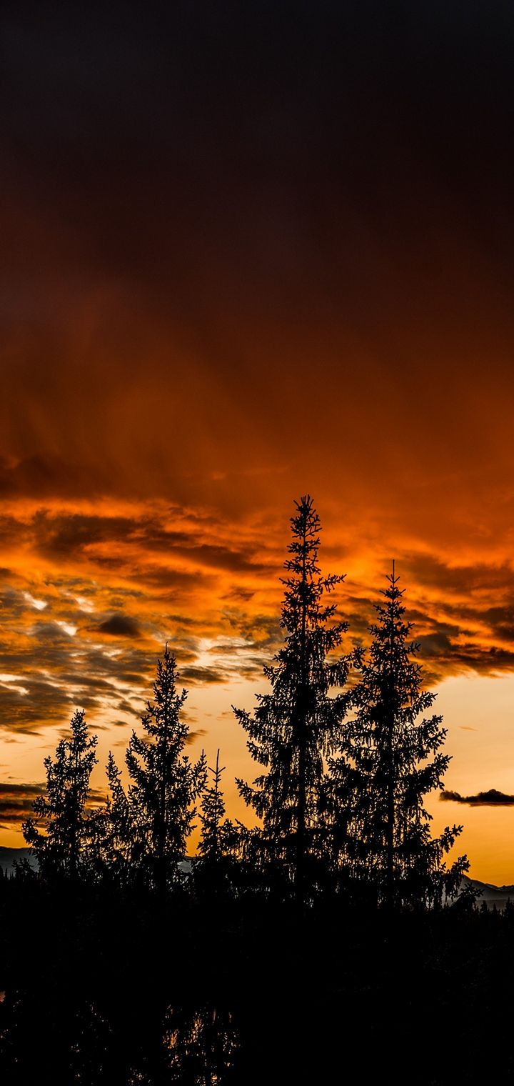 Trees Sunset Sky Wallpaper 720x1520
