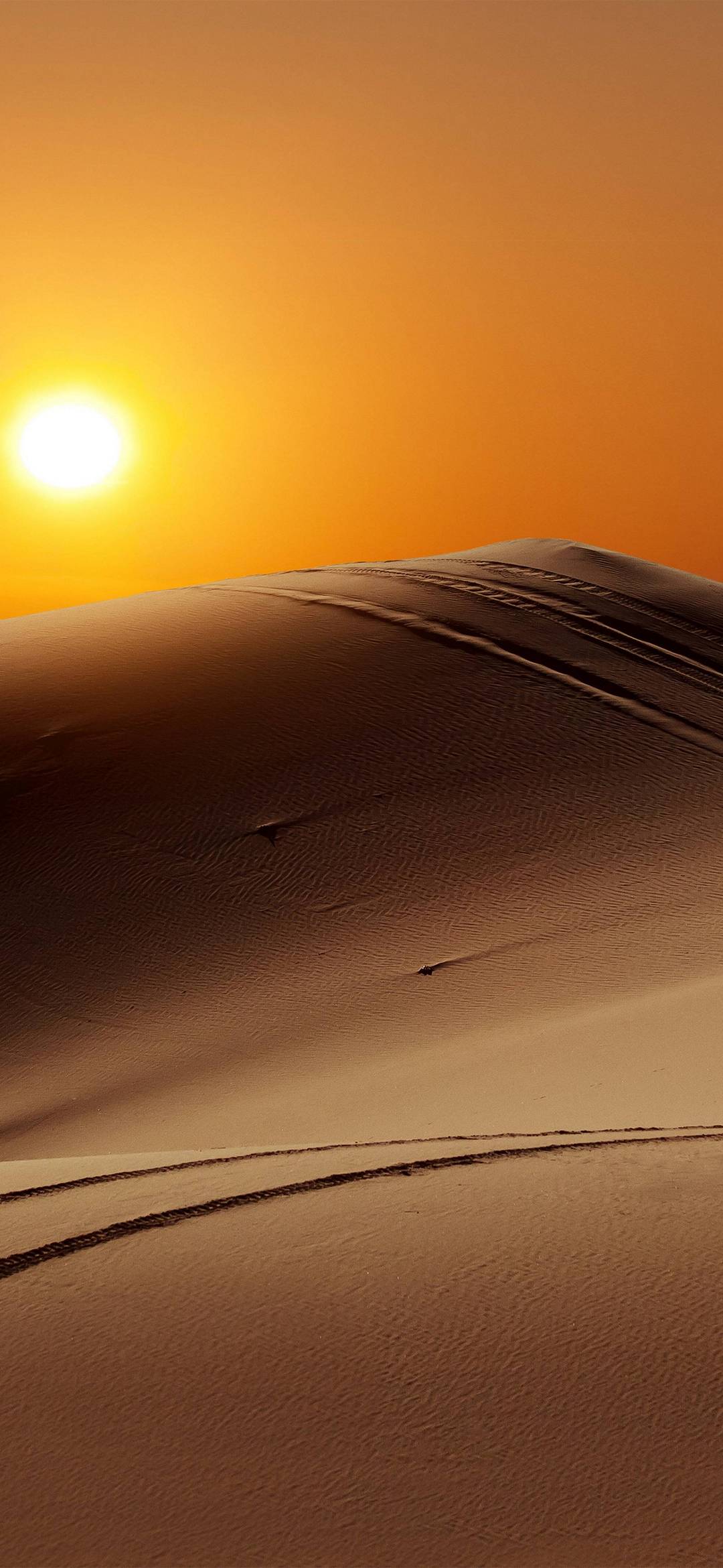 1080x2340 Wallpaper 039