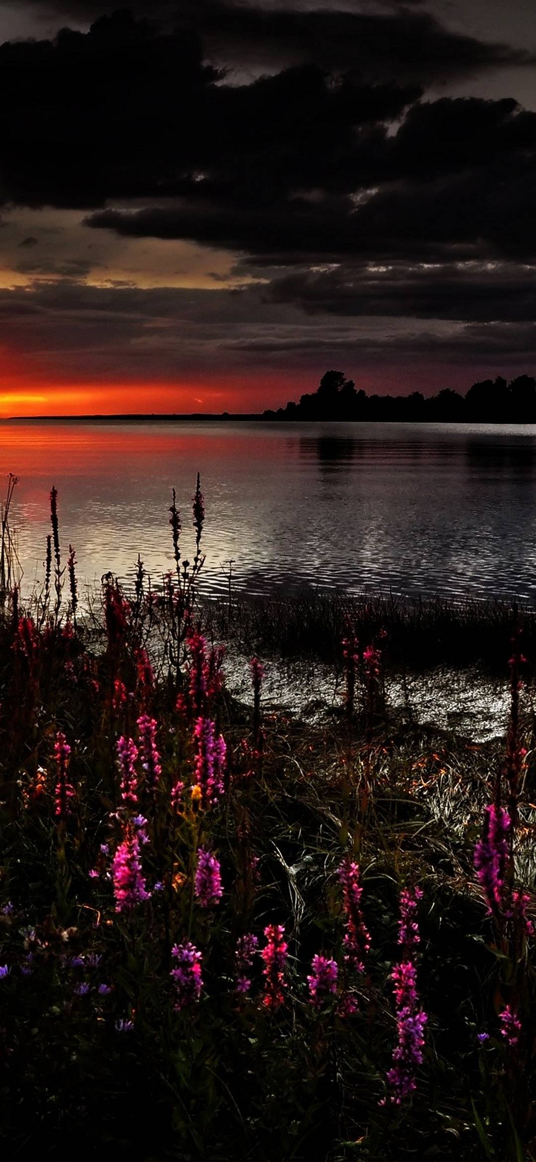 Beautiful Dark Sunset - [1080x2340]