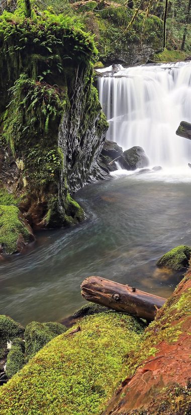 Forest River Waterfall Log Moss Rocks 1080x2340 380x823