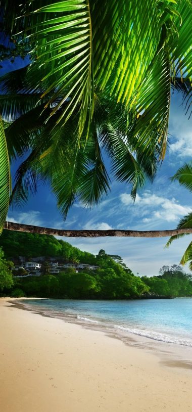 Tropical Beach HD Wallpaper 1080x2316 380x815