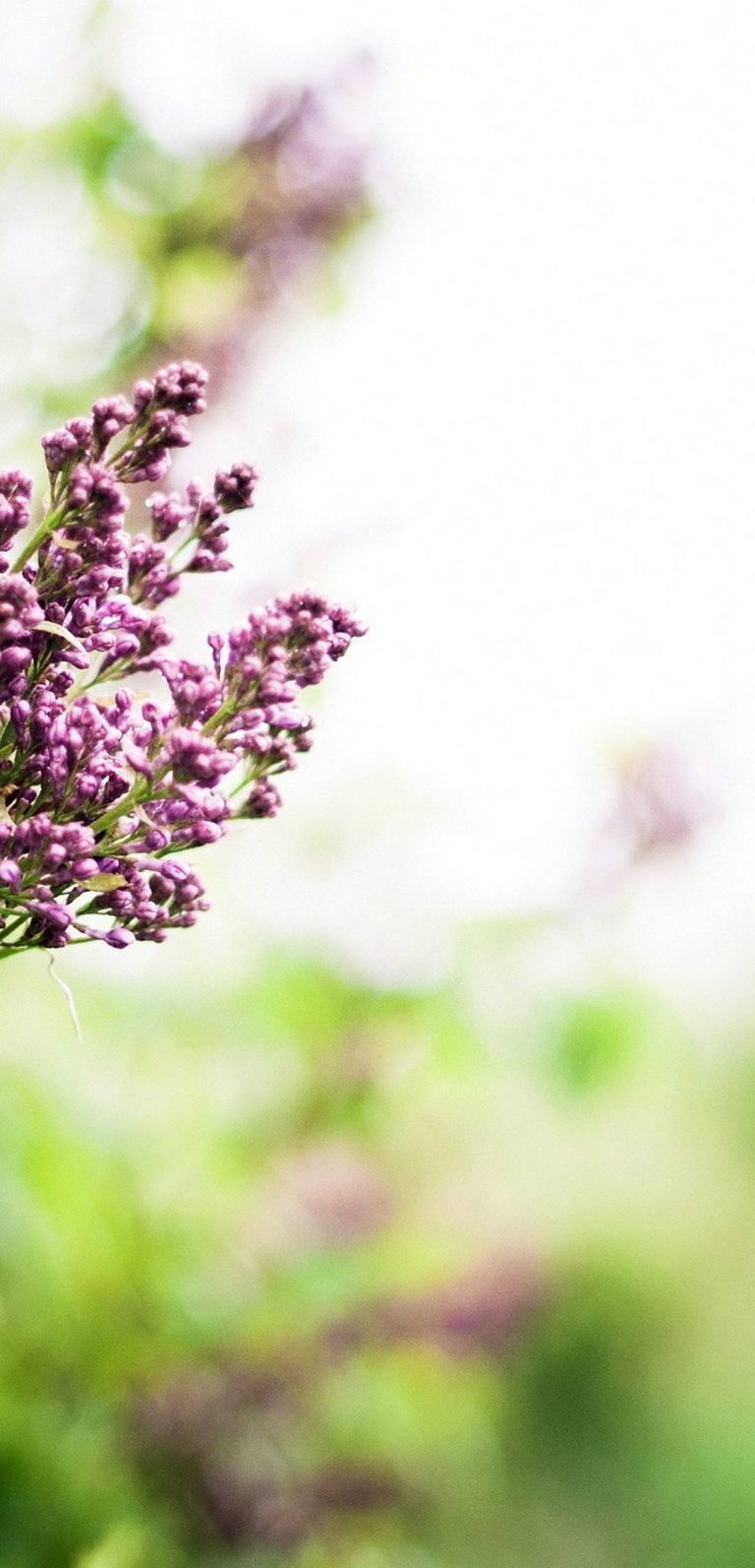 1080x2240 Wallpaper - 377