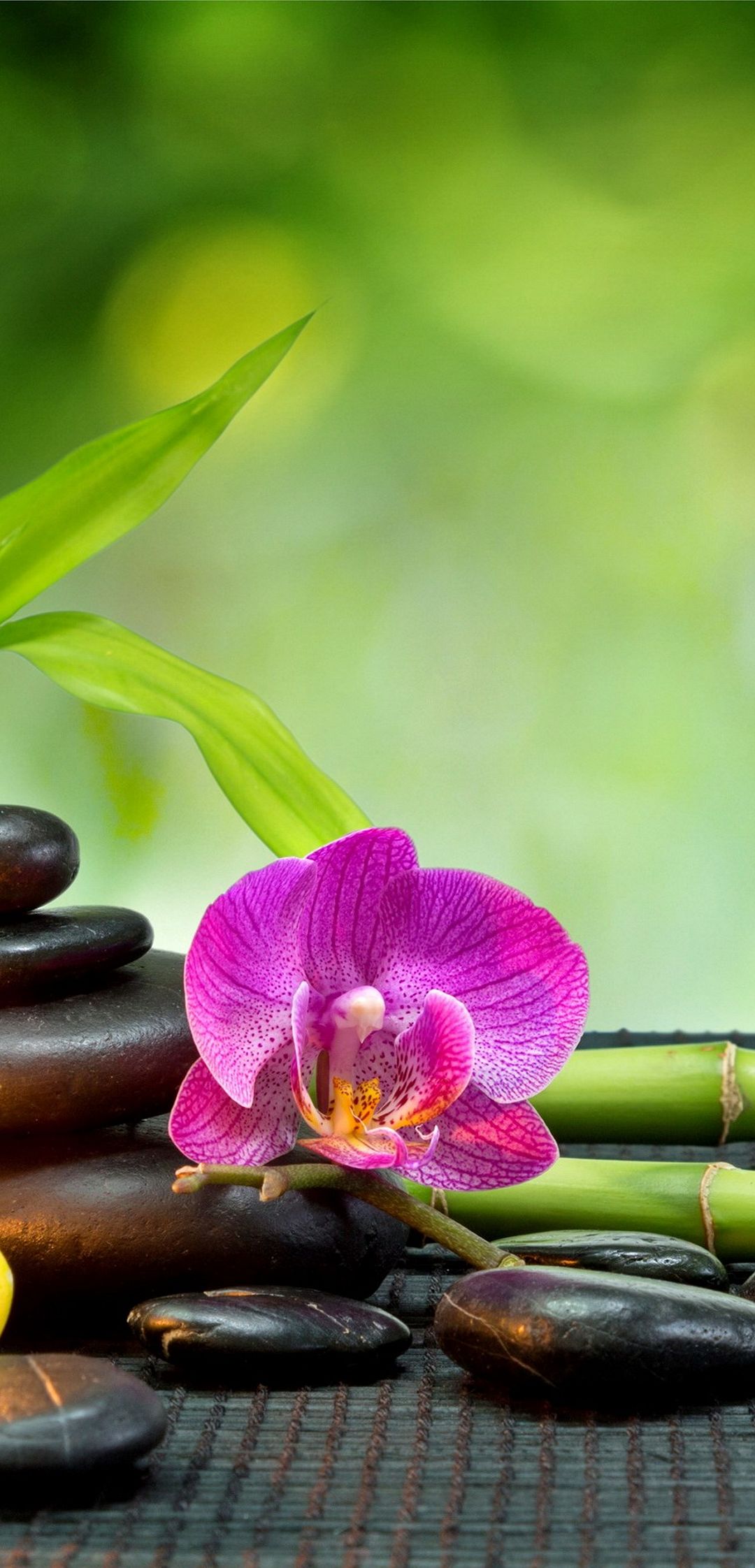 1080x2244 Wallpaper - 217