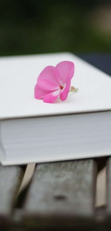Bench Books Pink Flowers 1080x2244 380x790