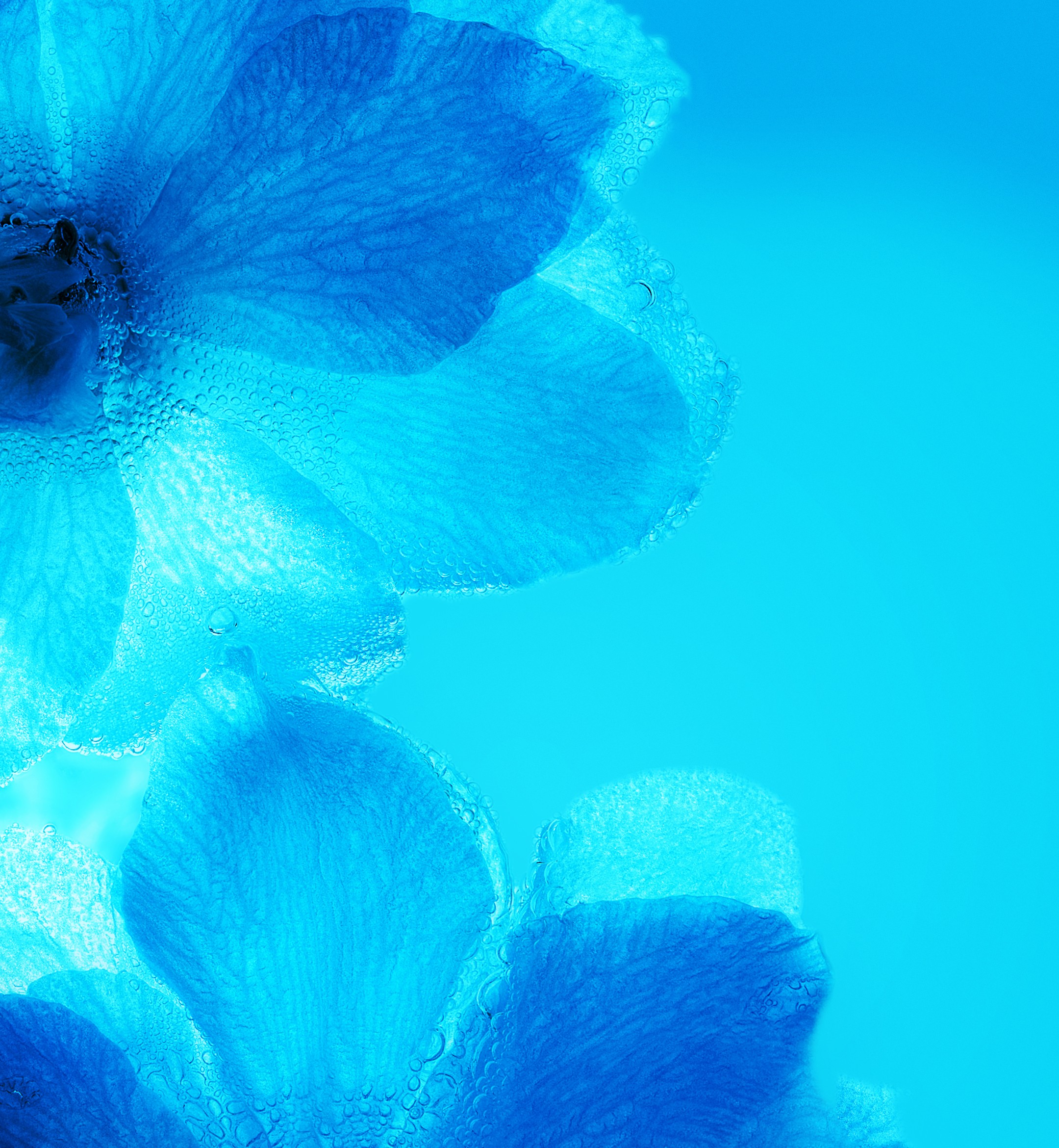 Huawei Nova 3 Stock Wallpaper 08 - [2160x2340]