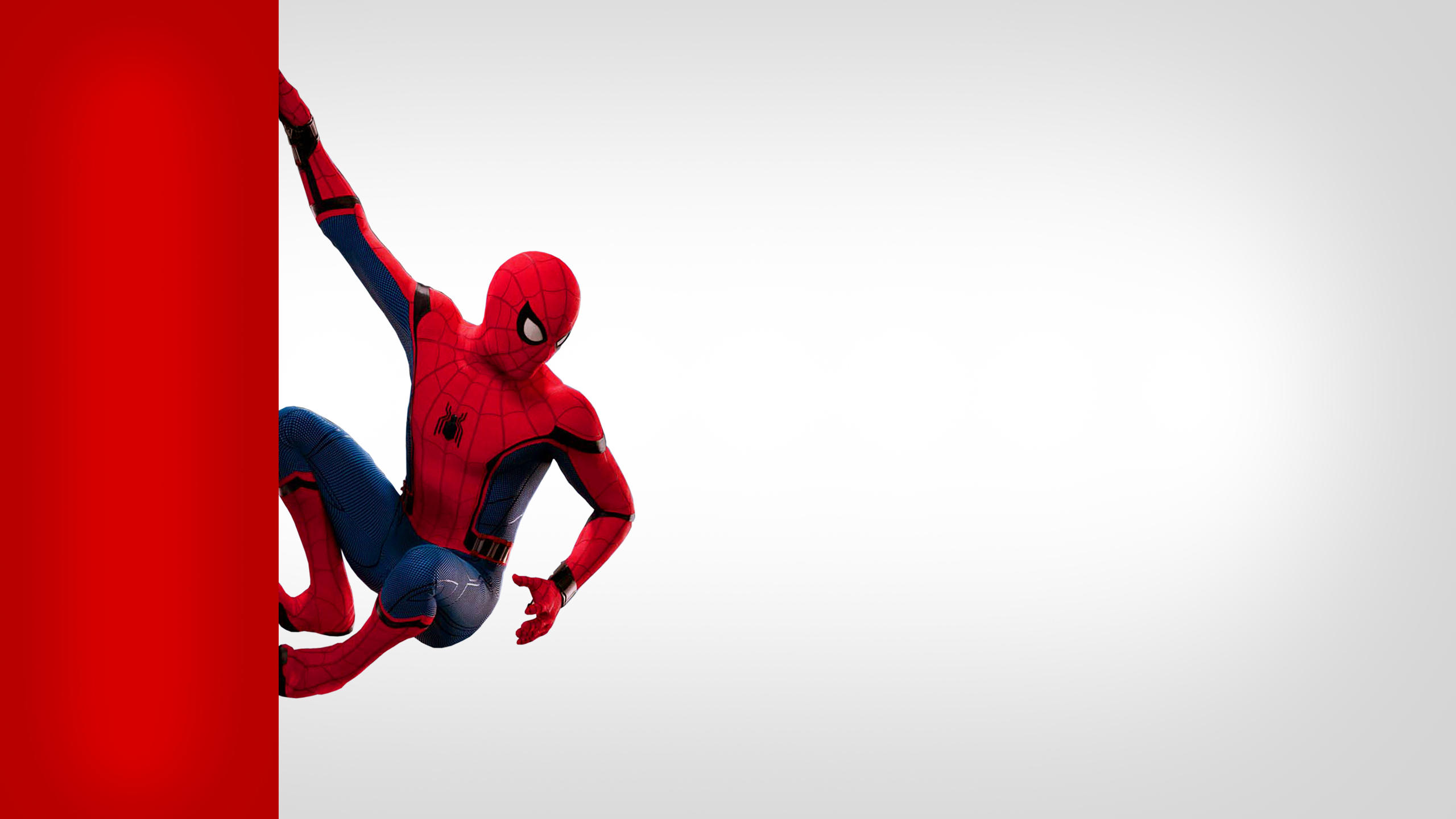  Spiderman  Wallpaper  70 2560x1440 