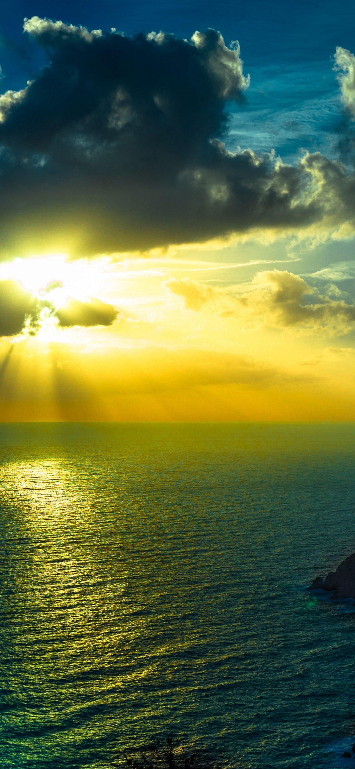 1242x2688 Wallpaper - 061