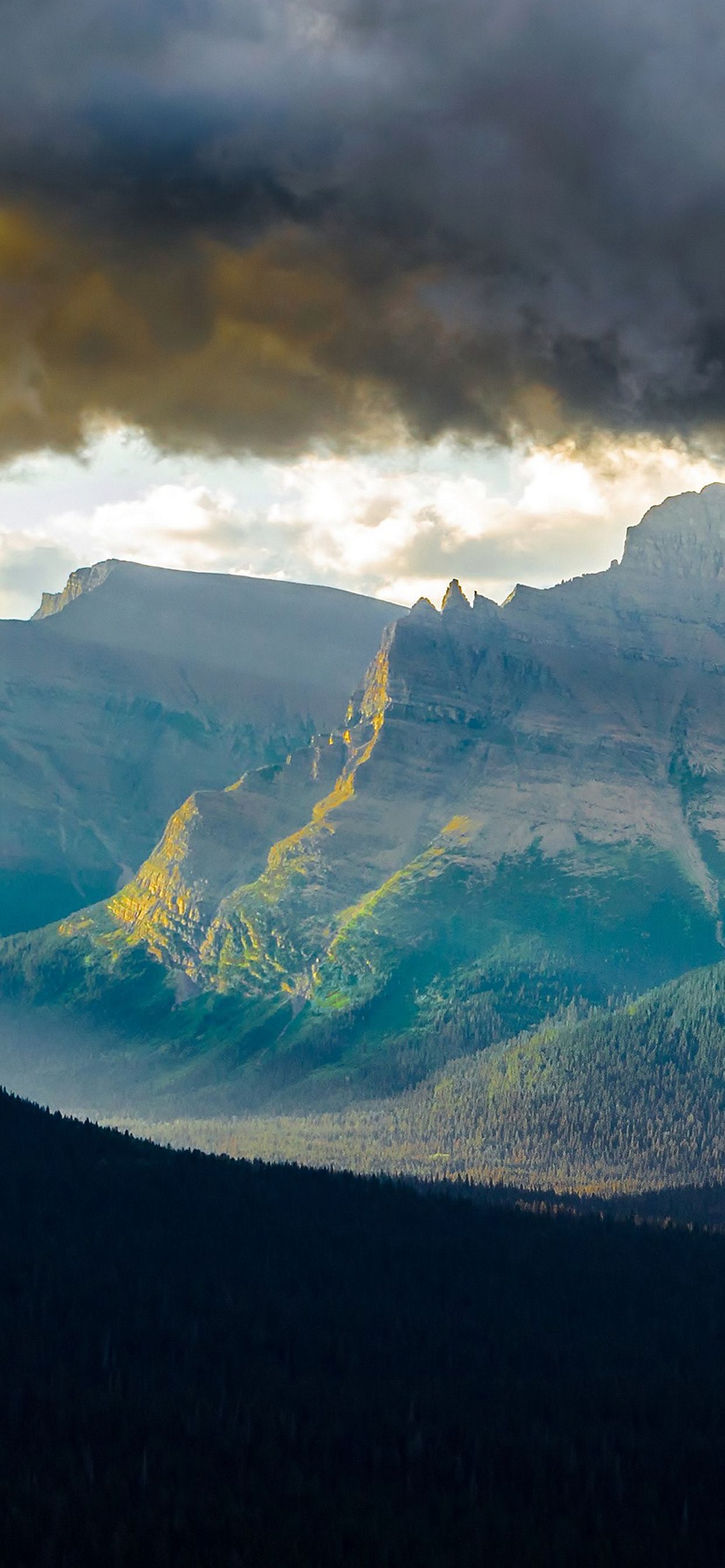 1242x2688 Wallpaper - 141