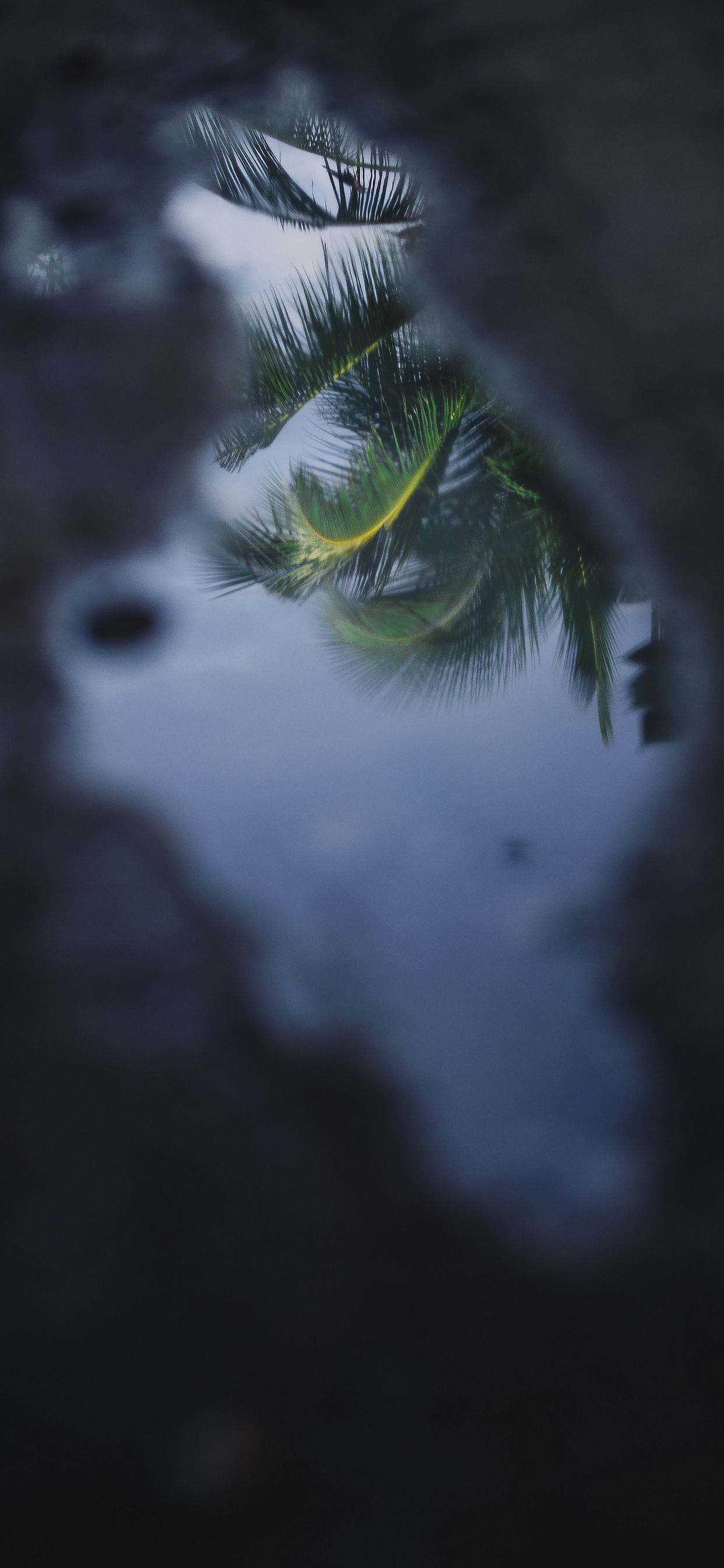 Apple iPhone 11 Pro Max Wallpapers HD