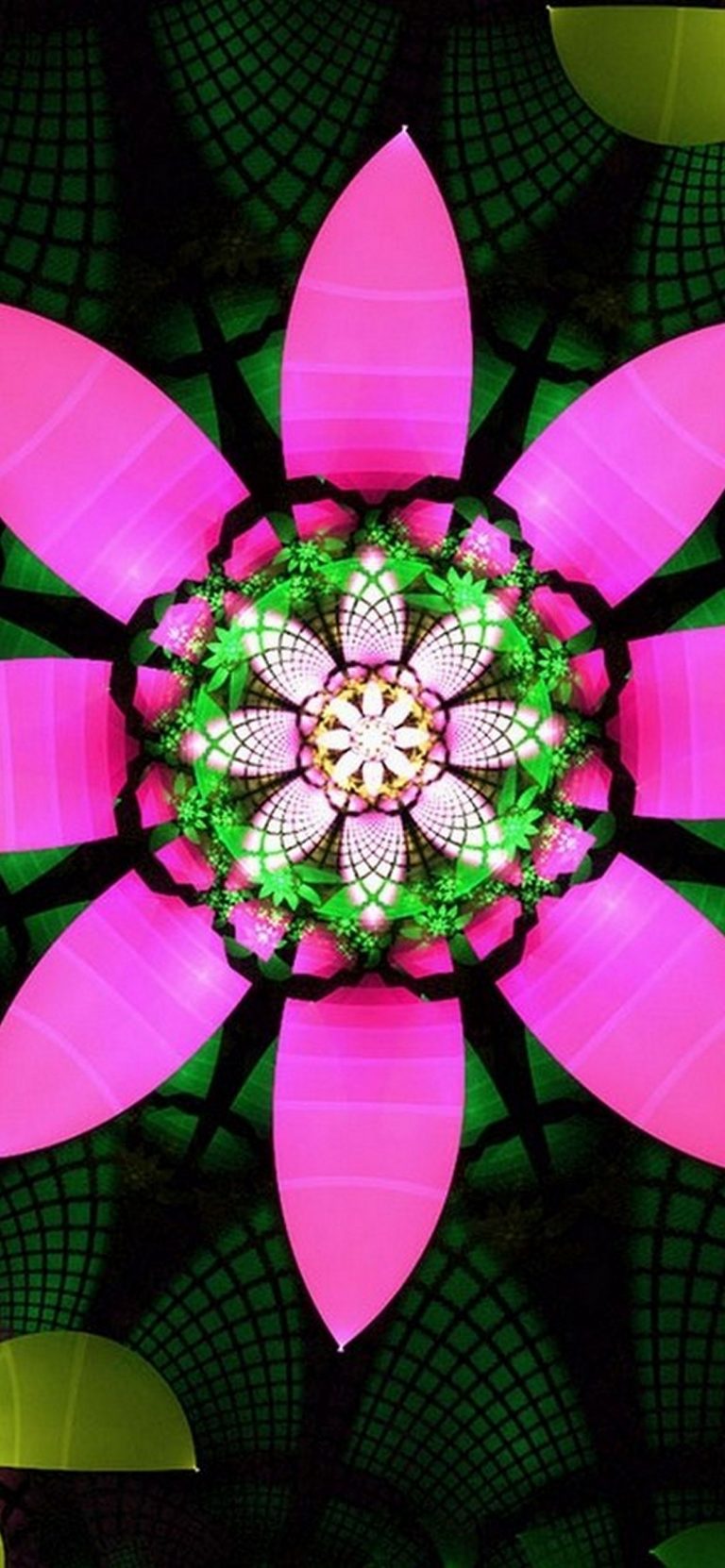 1242x2688 Wallpaper - 387