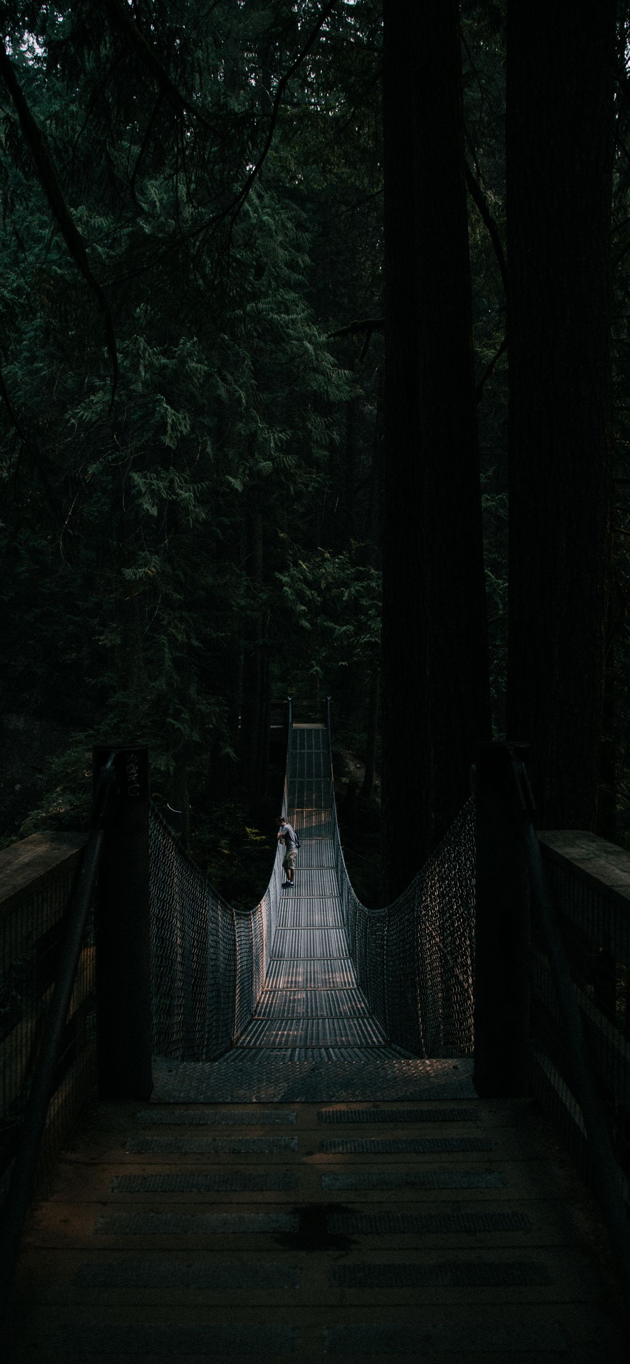 1242x2688 Wallpaper - 445