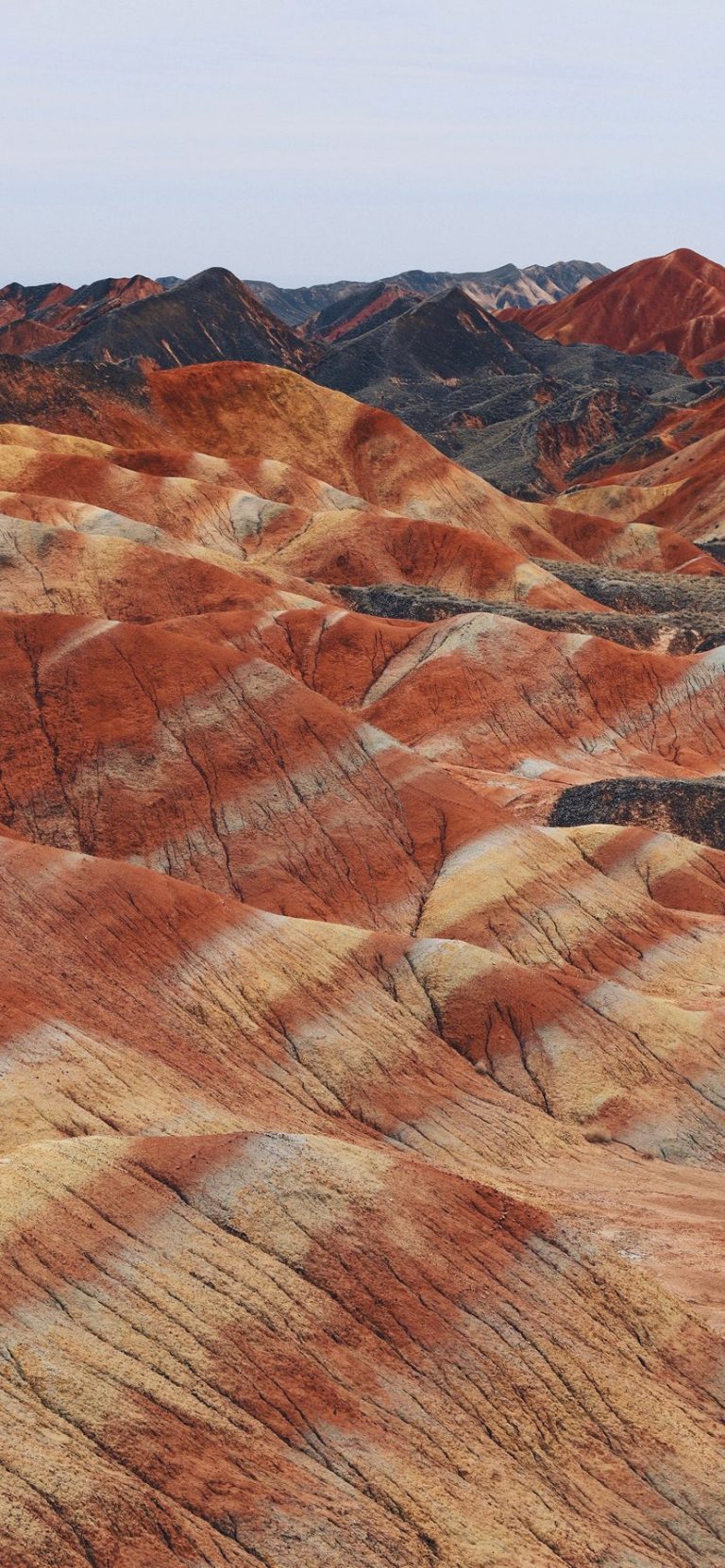 828x1792 Wallpaper - 017