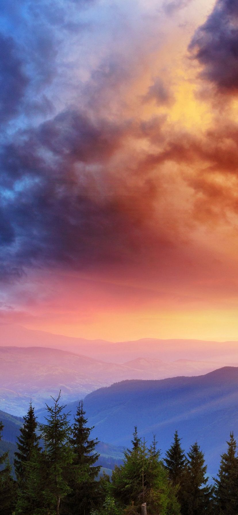 828x1792 Wallpaper - 022