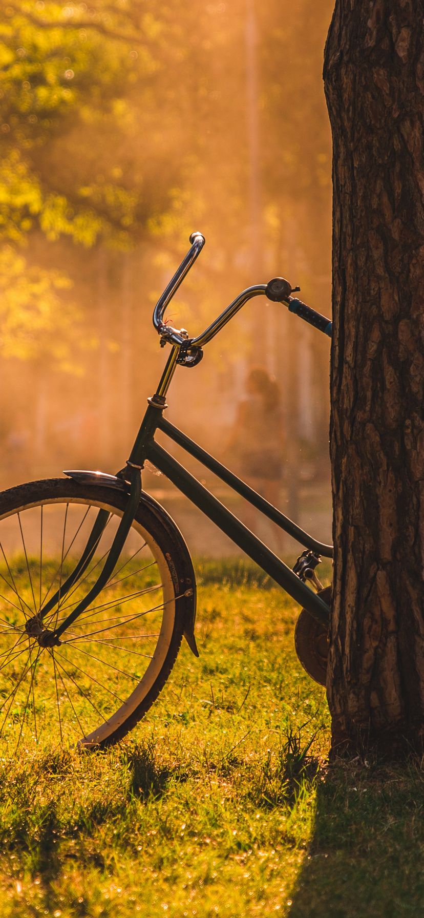 828x1792 Wallpaper - 053