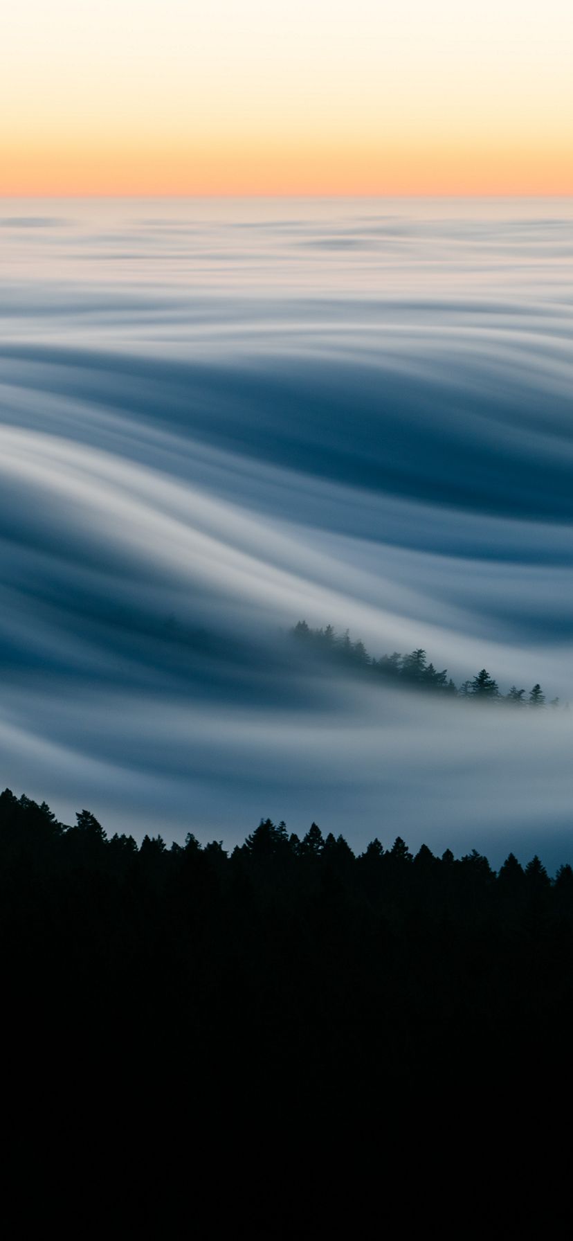 828x1792 Wallpaper - 072