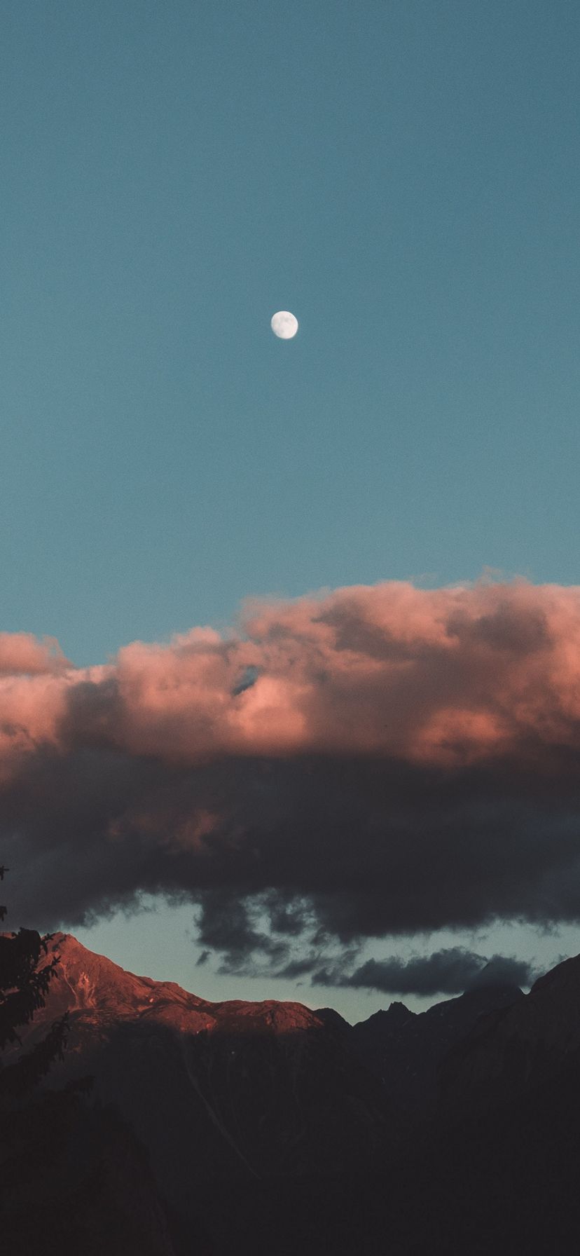 828x1792 Wallpaper - 078