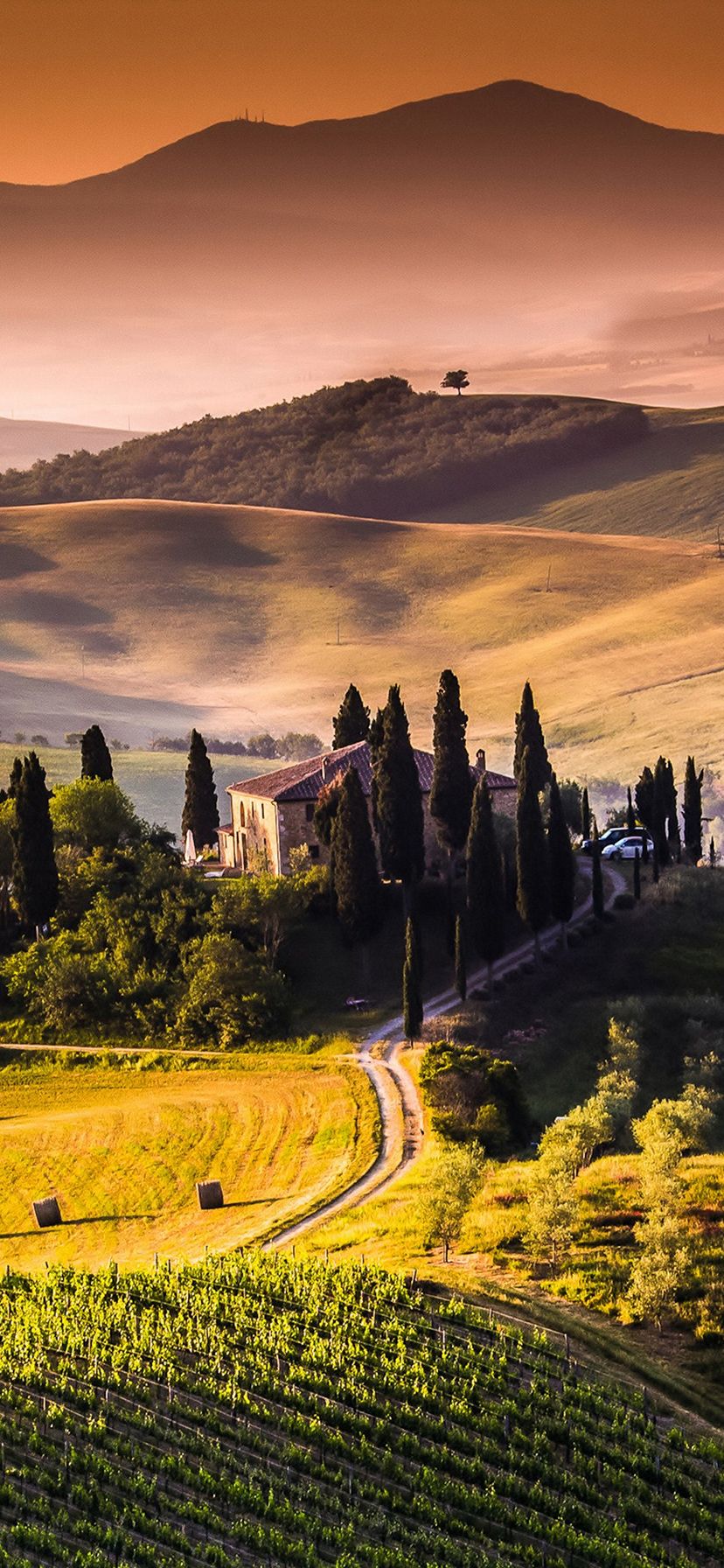 828x1792 Wallpaper - 120