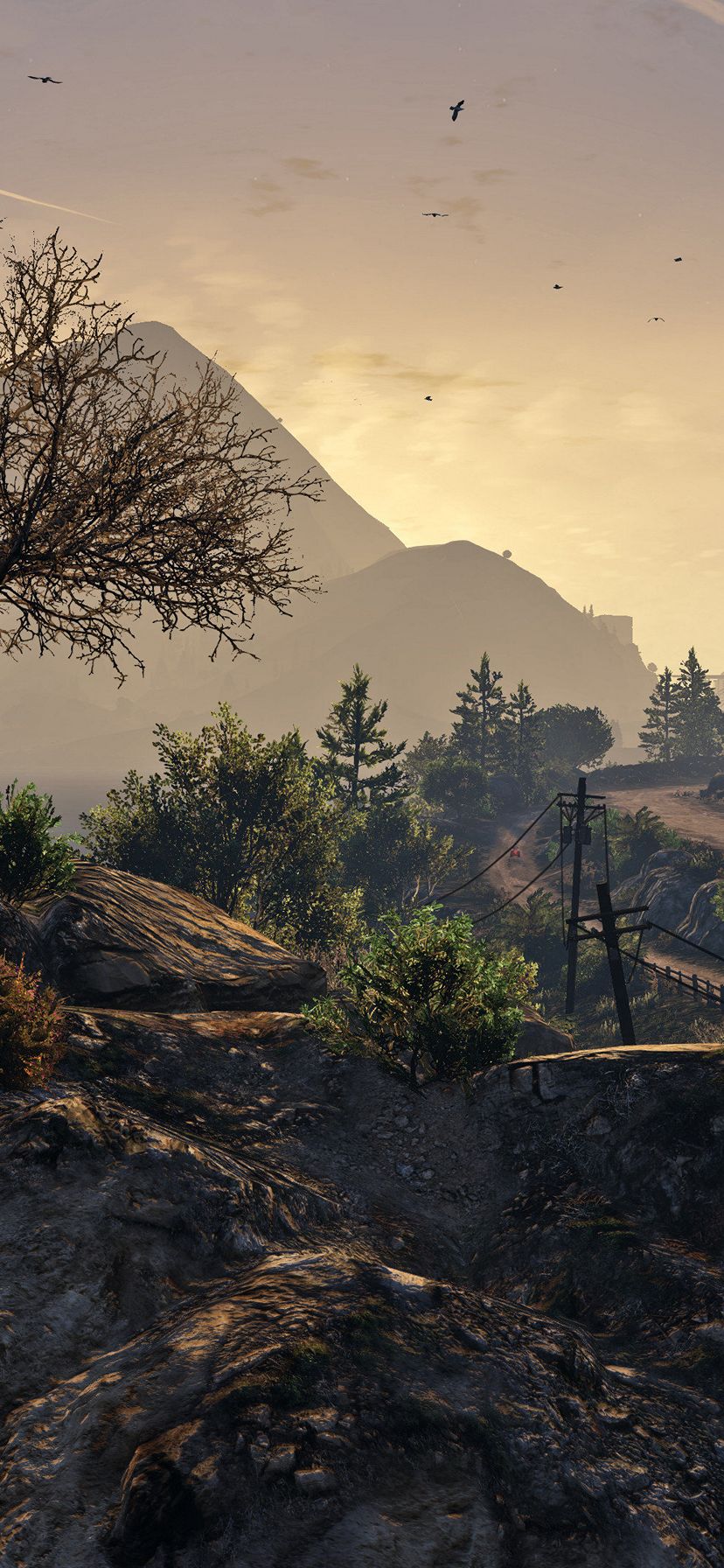 828x1792 Wallpaper - 125