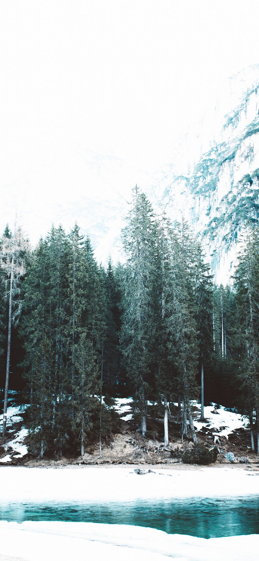 828x1792 Wallpaper - 275