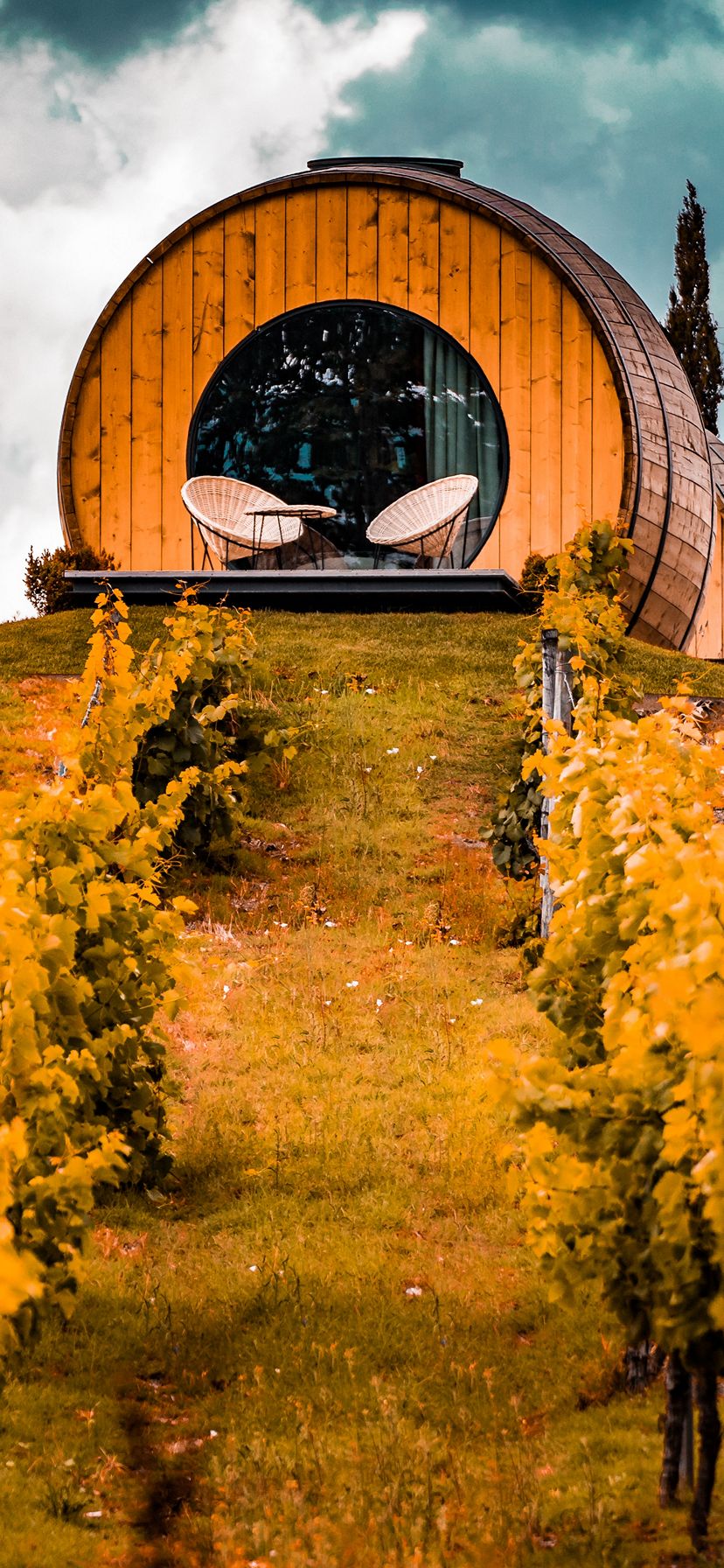 828x1792 Wallpaper - 445